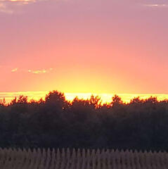 Artist - Candymeltzz